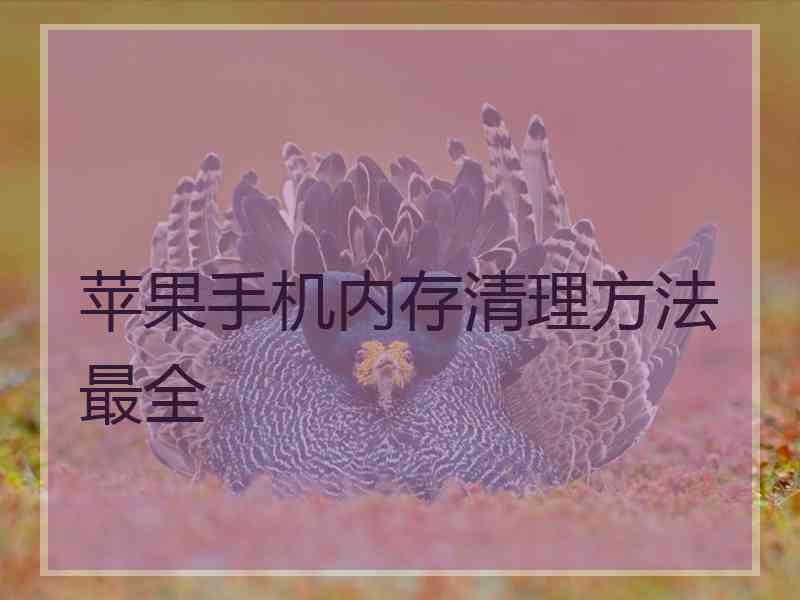 苹果手机内存清理方法最全