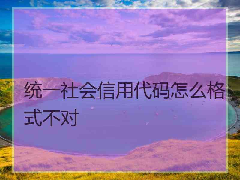 统一社会信用代码怎么格式不对