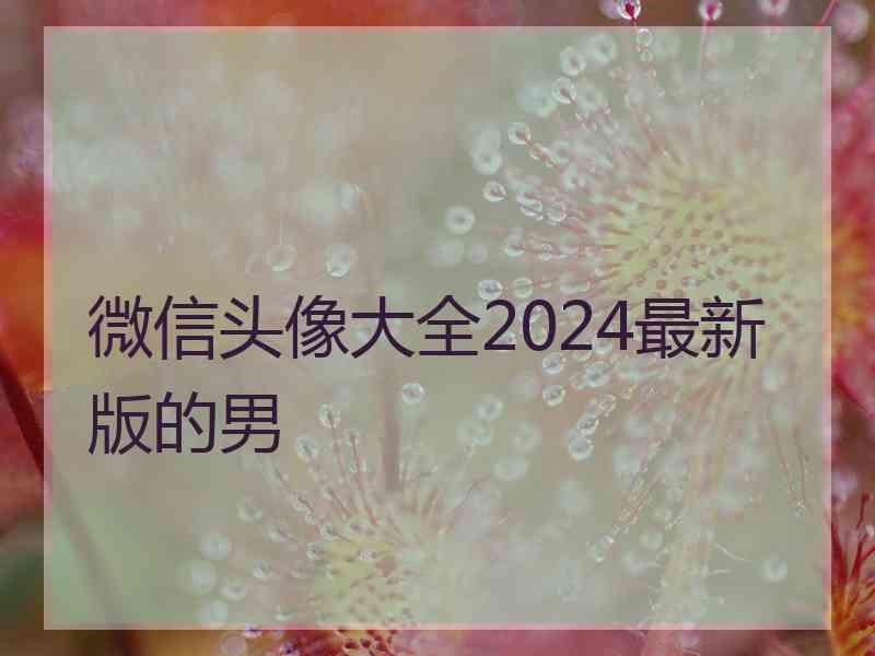 微信头像大全2024最新版的男