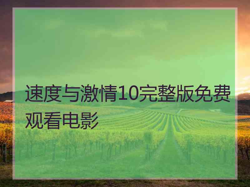 速度与激情10完整版免费观看电影