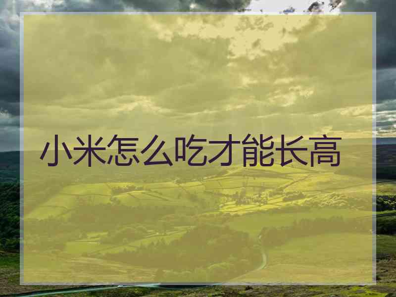 小米怎么吃才能长高
