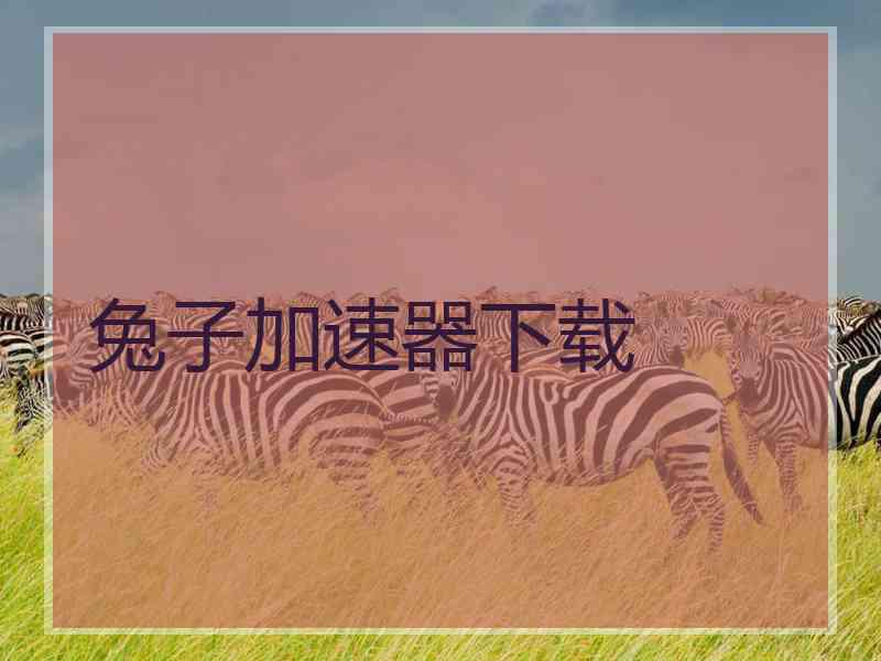 兔子加速器下载