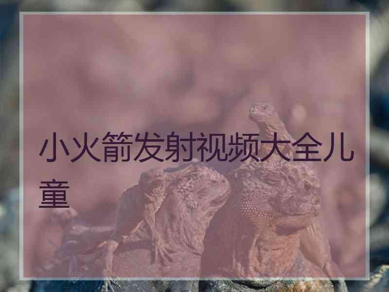 小火箭发射视频大全儿童