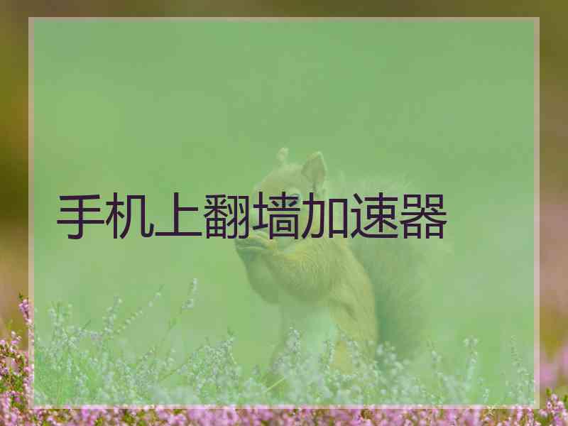 手机上翻墙加速器