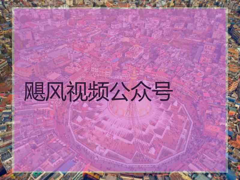 飓风视频公众号