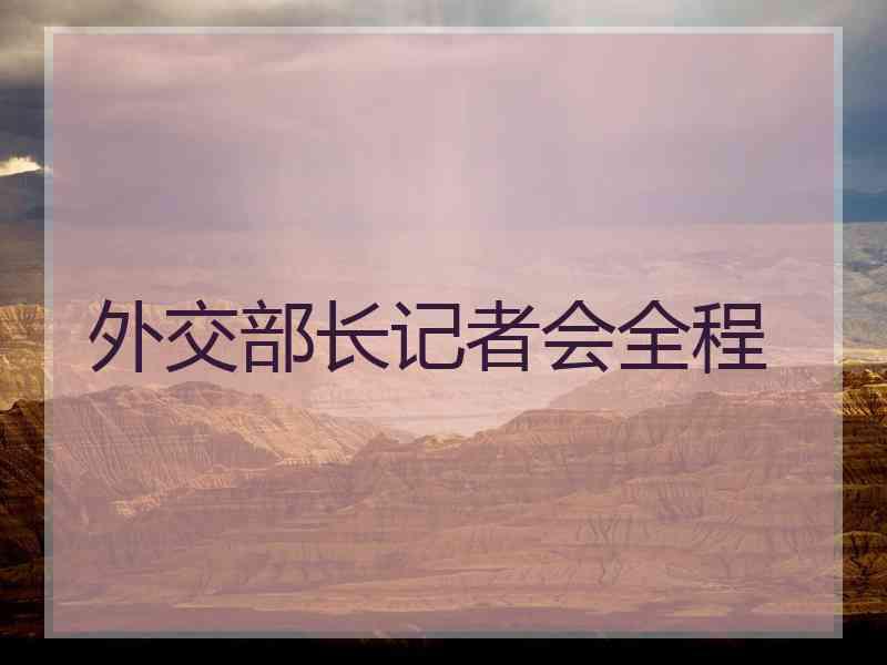 外交部长记者会全程
