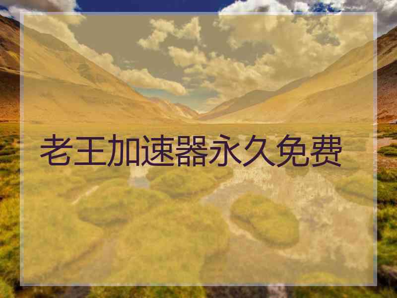老王加速器永久免费
