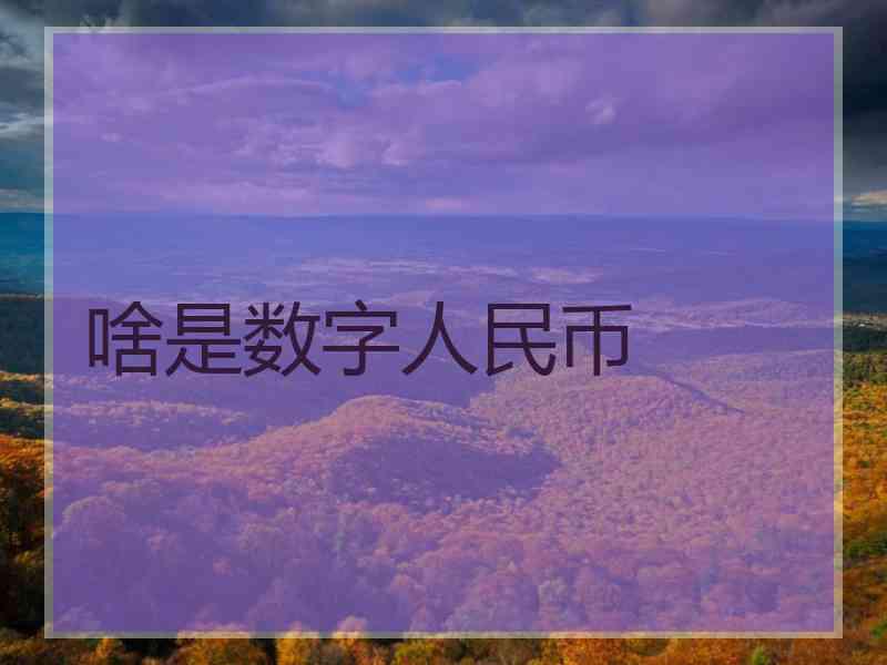 啥是数字人民币