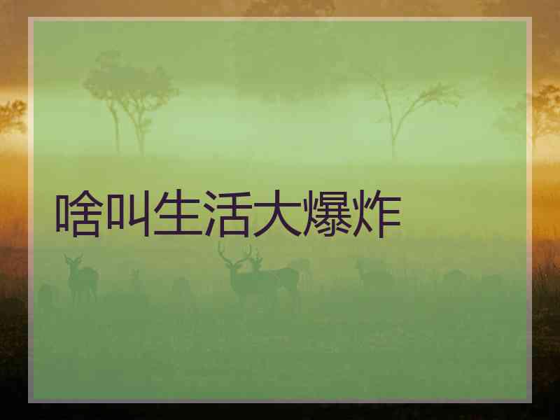 啥叫生活大爆炸