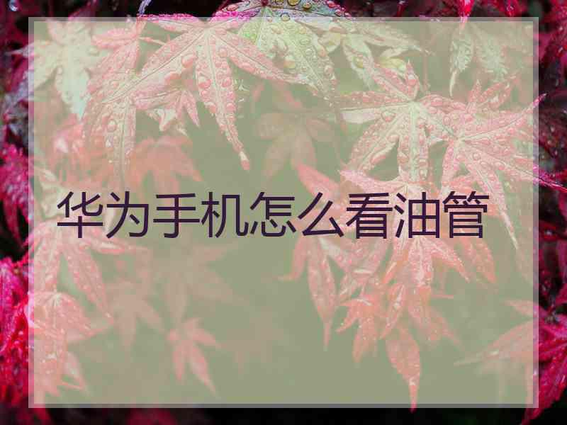 华为手机怎么看油管