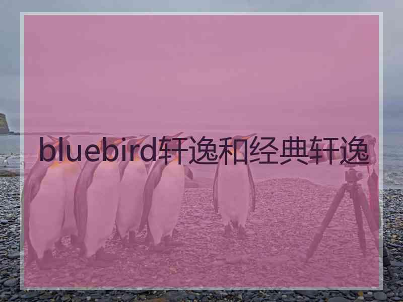 bluebird轩逸和经典轩逸