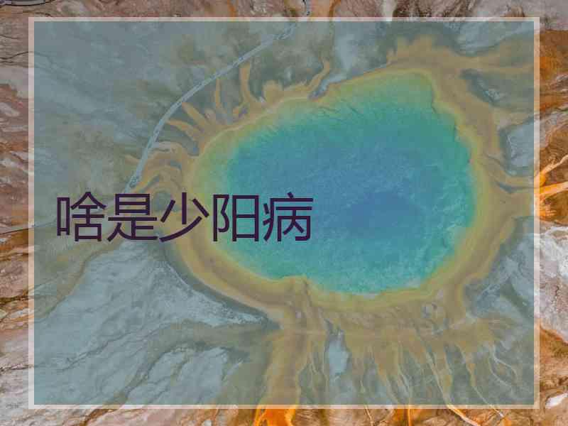 啥是少阳病