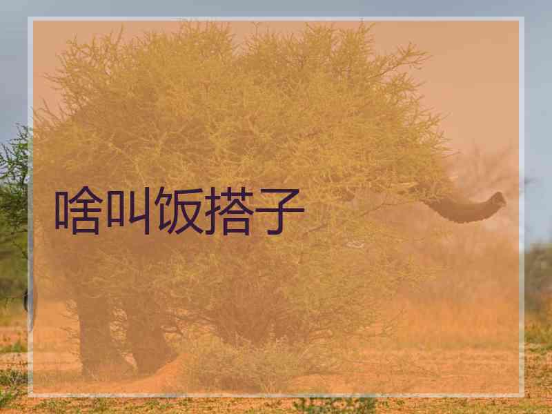 啥叫饭搭子