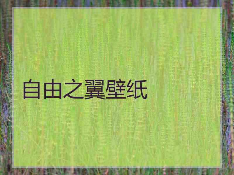 自由之翼壁纸