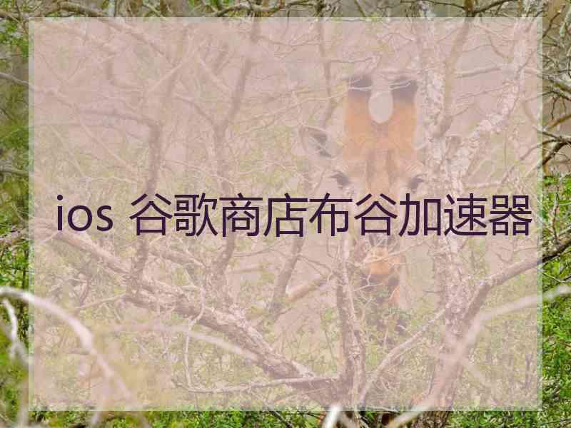 ios 谷歌商店布谷加速器
