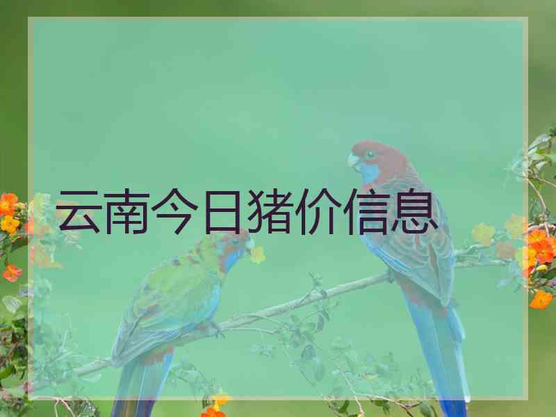 云南今日猪价信息