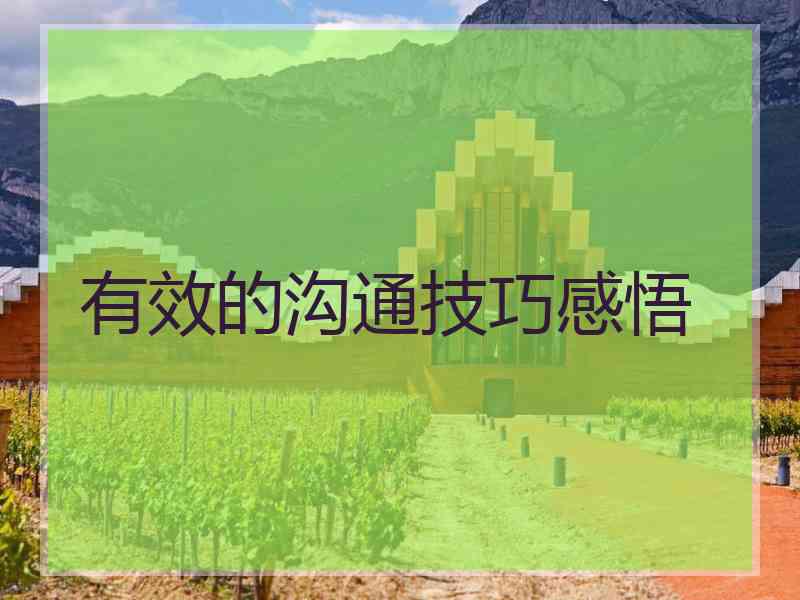 有效的沟通技巧感悟