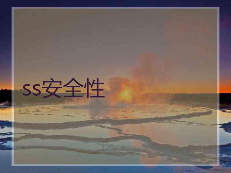ss安全性