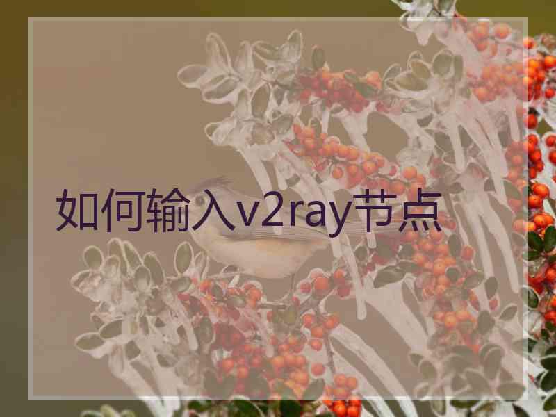 如何输入v2ray节点
