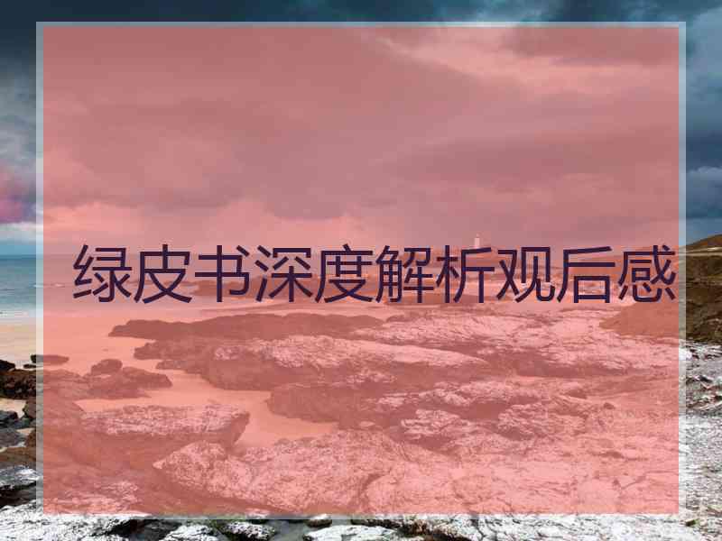 绿皮书深度解析观后感