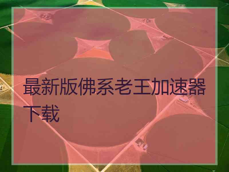 最新版佛系老王加速器下载