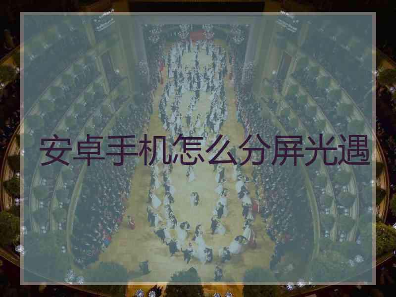 安卓手机怎么分屏光遇