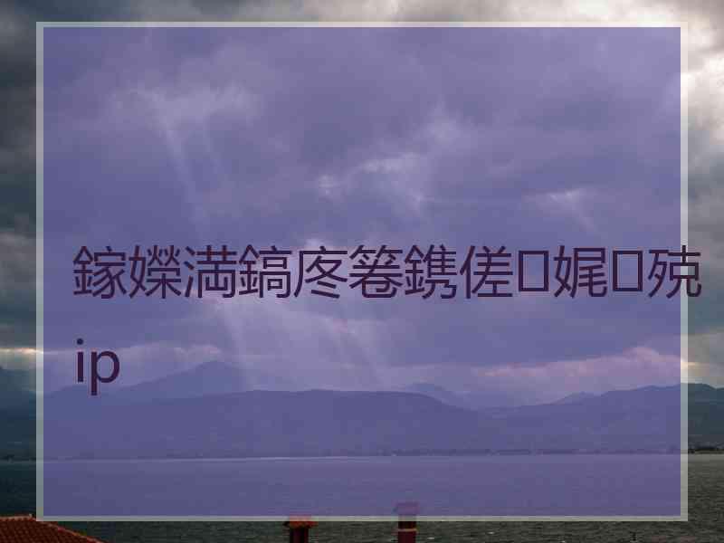 鎵嬫満鎬庝箞鎸傞娓殑ip
