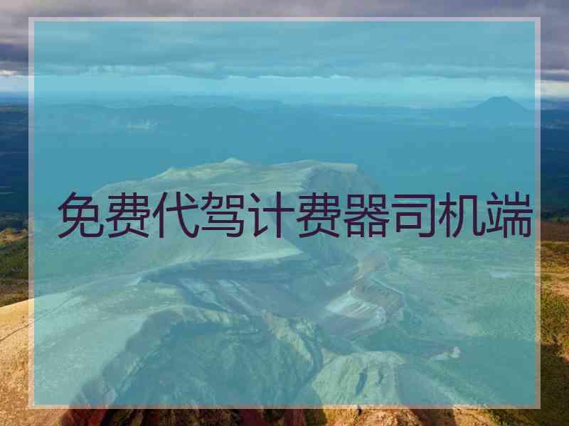 免费代驾计费器司机端