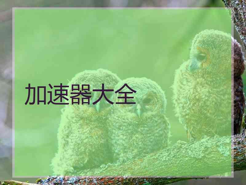 加速器大全