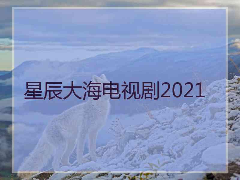 星辰大海电视剧2021