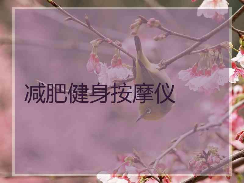 减肥健身按摩仪