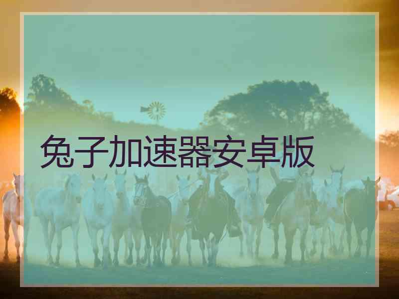 兔子加速器安卓版