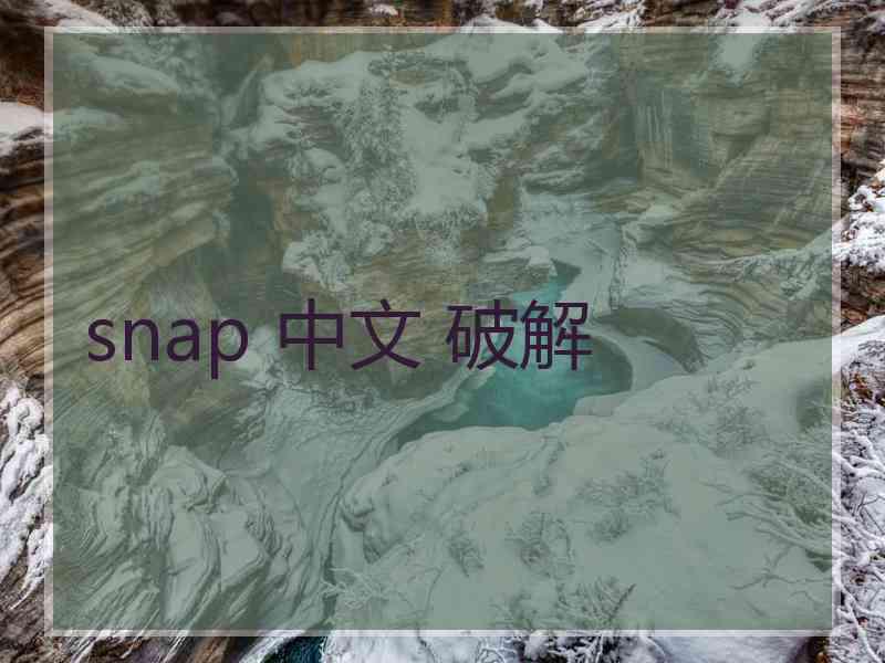 snap 中文 破解