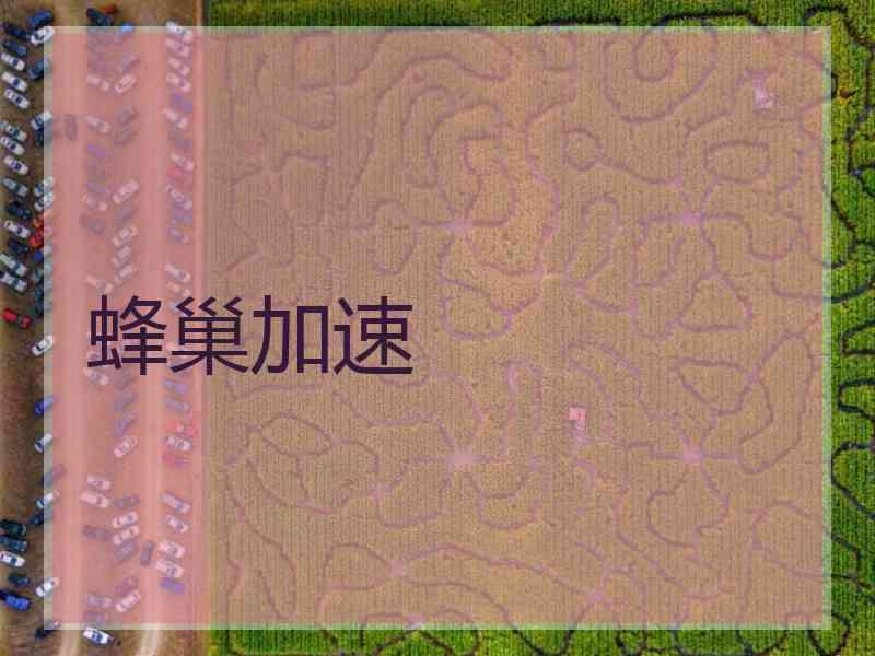 蜂巢加速