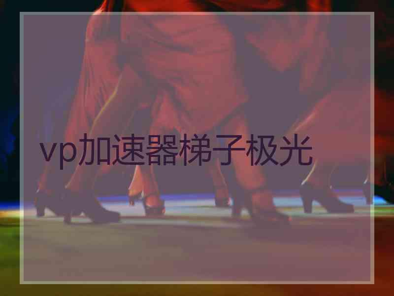 vp加速器梯子极光