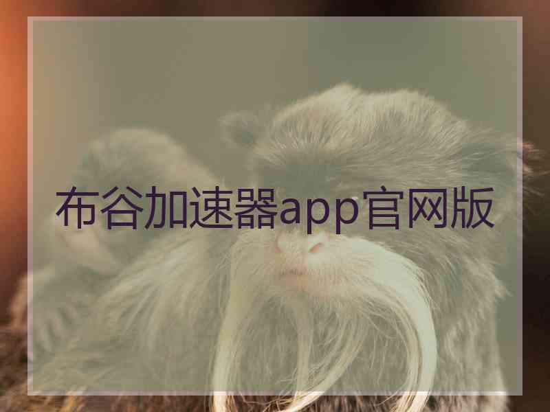 布谷加速器app官网版