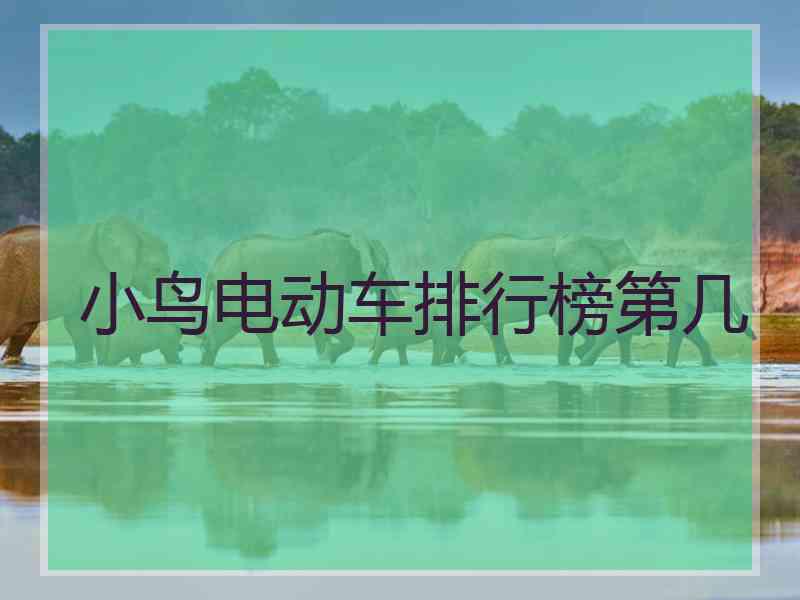 小鸟电动车排行榜第几