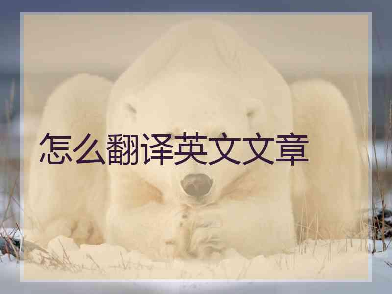 怎么翻译英文文章