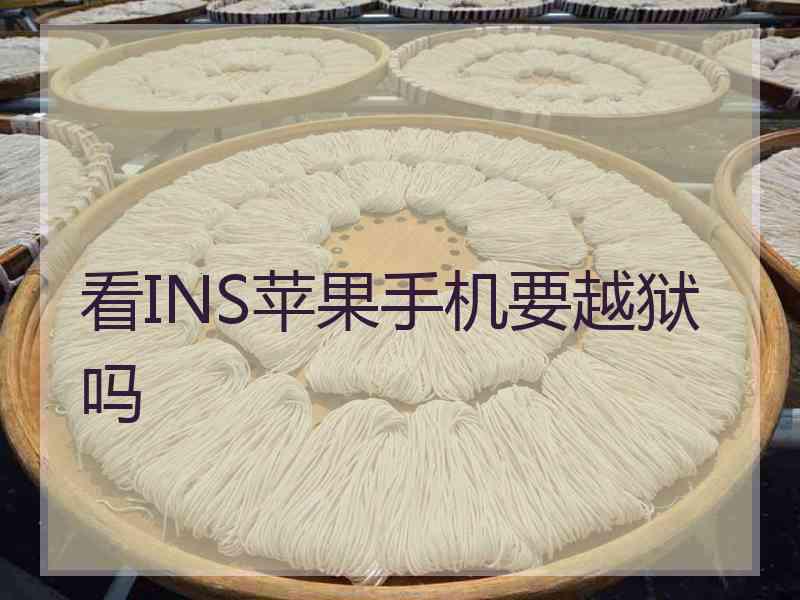 看INS苹果手机要越狱吗