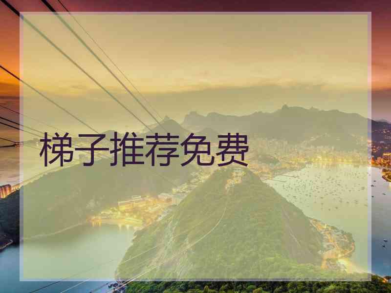 梯子推荐免费