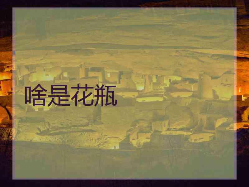 啥是花瓶