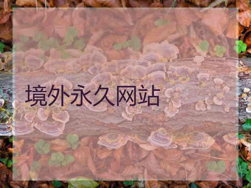 境外永久网站