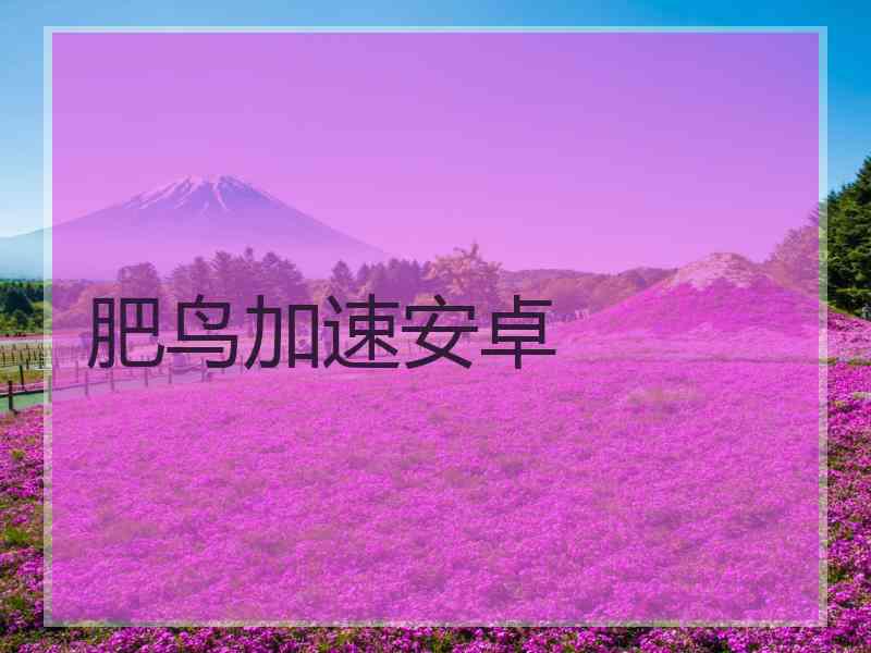 肥鸟加速安卓