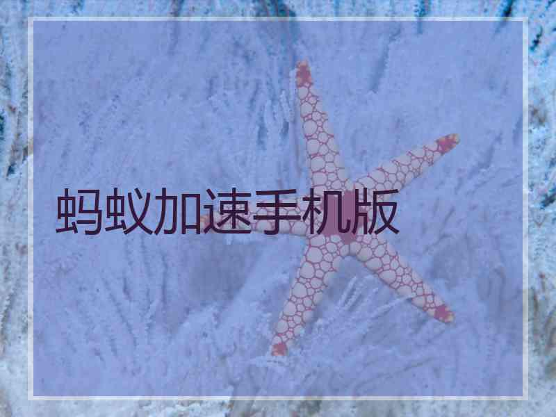 蚂蚁加速手机版