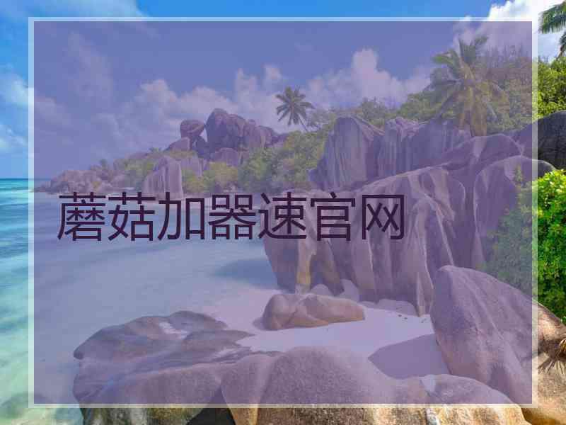 蘑菇加器速官网