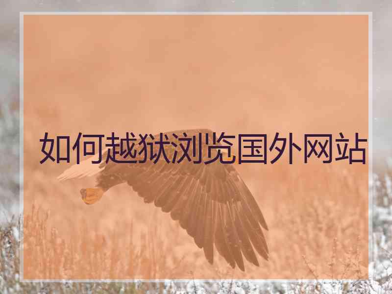 如何越狱浏览国外网站