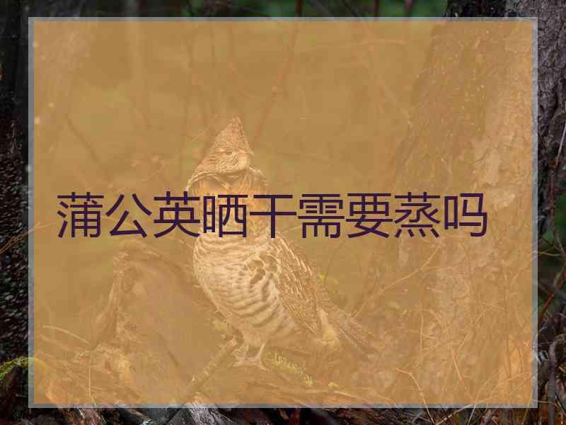 蒲公英晒干需要蒸吗