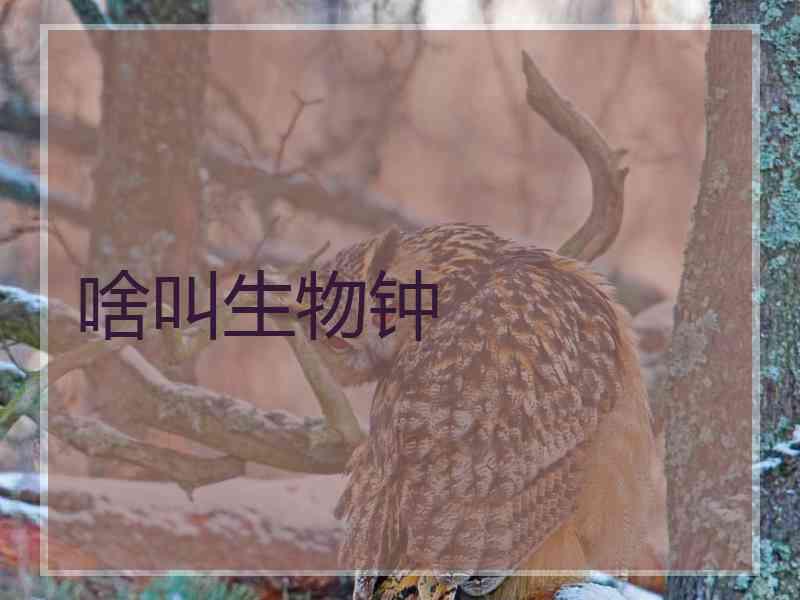 啥叫生物钟