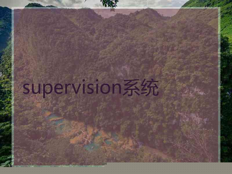 supervision系统