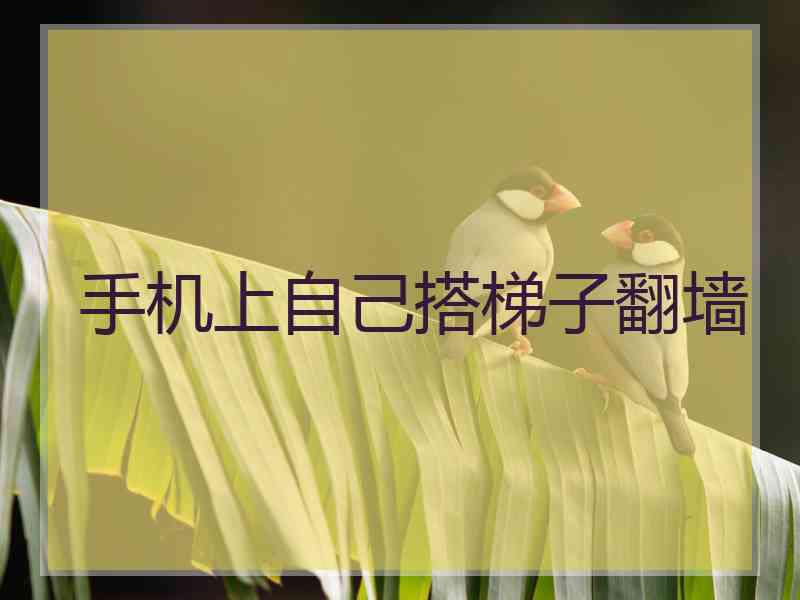 手机上自己搭梯子翻墙